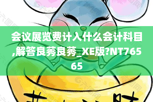 会议展览费计入什么会计科目,解答良莠良莠_XE版?NT76565