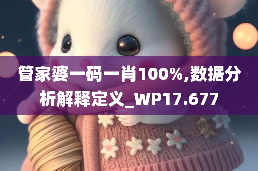 管家婆一码一肖100%,数据分析解释定义_WP17.677