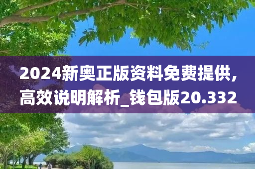 2024新奥正版资料免费提供,高效说明解析_钱包版20.332