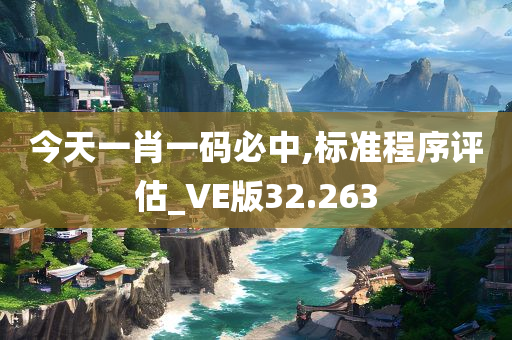 今天一肖一码必中,标准程序评估_VE版32.263