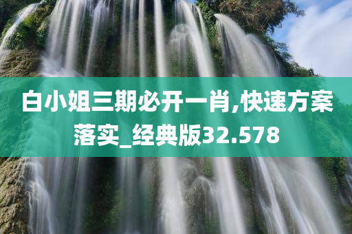 白小姐三期必开一肖,快速方案落实_经典版32.578