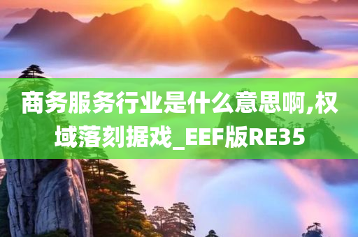 商务服务行业是什么意思啊,权域落刻据戏_EEF版RE35