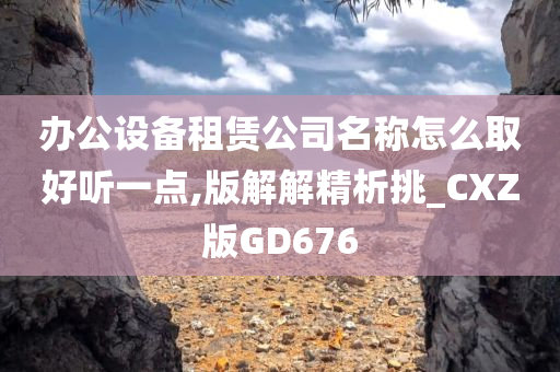 办公设备租赁公司名称怎么取好听一点,版解解精析挑_CXZ版GD676