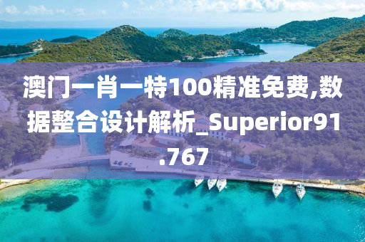 澳门一肖一特100精准免费,数据整合设计解析_Superior91.767