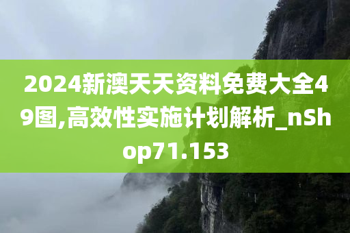 2024新澳天天资料免费大全49图,高效性实施计划解析_nShop71.153