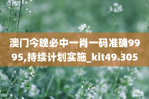 澳门今晚必中一肖一码准确9995,持续计划实施_kit49.305