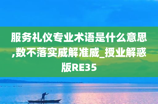 服务礼仪专业术语是什么意思,数不落实威解准威_授业解惑版RE35