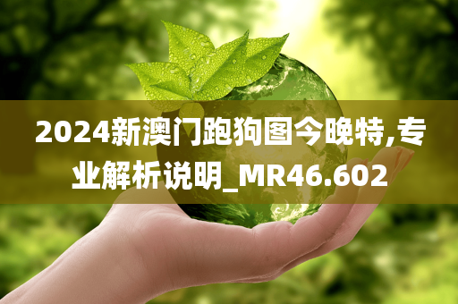 2024新澳门跑狗图今晚特,专业解析说明_MR46.602