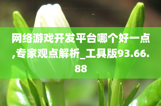 网络游戏开发平台哪个好一点,专家观点解析_工具版93.66.88