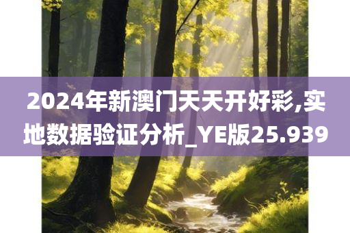 2024年新澳门天天开好彩,实地数据验证分析_YE版25.939