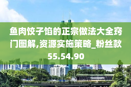 鱼肉饺子馅的正宗做法大全窍门图解,资源实施策略_粉丝款55.54.90