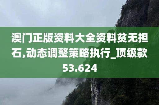 澳门正版资料大全资料贫无担石,动态调整策略执行_顶级款53.624