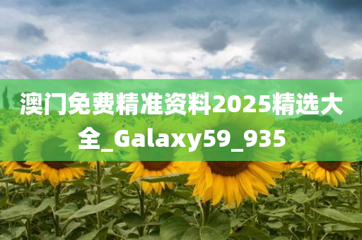 澳门免费精准资料2025精选大全_Galaxy59_935