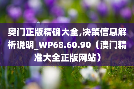 奥门正版精确大全,决策信息解析说明_WP68.60.90（澳门精准大全正版网站）