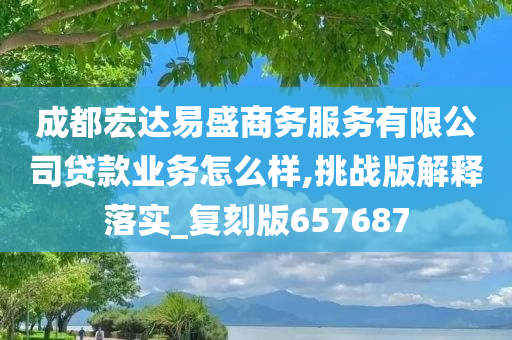 成都宏达易盛商务服务有限公司贷款业务怎么样,挑战版解释落实_复刻版657687