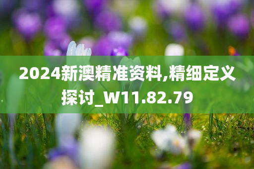 2024新澳精准资料,精细定义探讨_W11.82.79