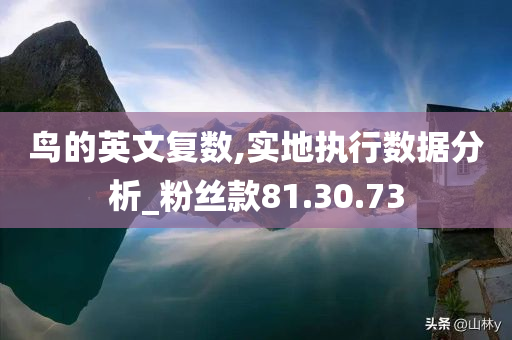 鸟的英文复数,实地执行数据分析_粉丝款81.30.73