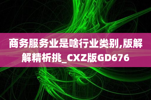 商务服务业是啥行业类别,版解解精析挑_CXZ版GD676