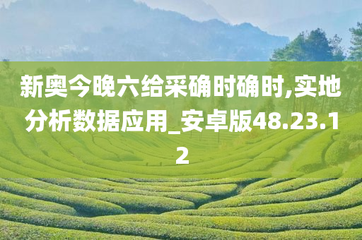 新奥今晚六给采确时确时,实地分析数据应用_安卓版48.23.12