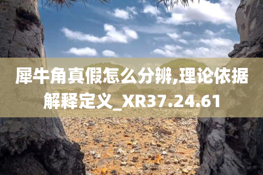 犀牛角真假怎么分辨,理论依据解释定义_XR37.24.61