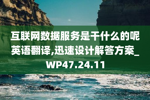 互联网数据服务是干什么的呢英语翻译,迅速设计解答方案_WP47.24.11