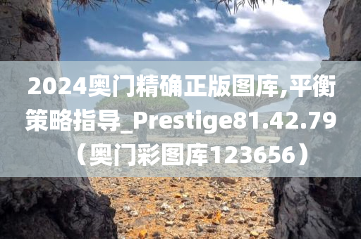 2024奥门精确正版图库,平衡策略指导_Prestige81.42.79（奥门彩图库123656）