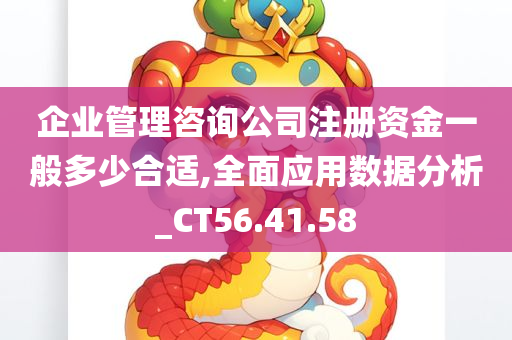 企业管理咨询公司注册资金一般多少合适,全面应用数据分析_CT56.41.58