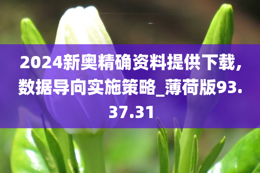 2024新奥精确资料提供下载,数据导向实施策略_薄荷版93.37.31