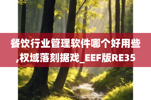 餐饮行业管理软件哪个好用些,权域落刻据戏_EEF版RE35