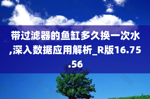 带过滤器的鱼缸多久换一次水,深入数据应用解析_R版16.75.56