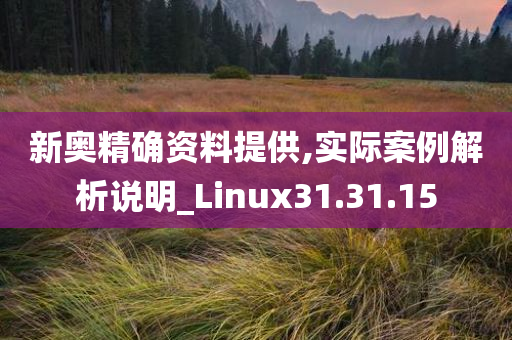 新奥精确资料提供,实际案例解析说明_Linux31.31.15