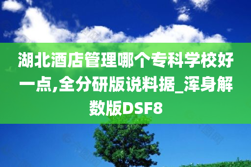 湖北酒店管理哪个专科学校好一点,全分研版说料据_浑身解数版DSF8