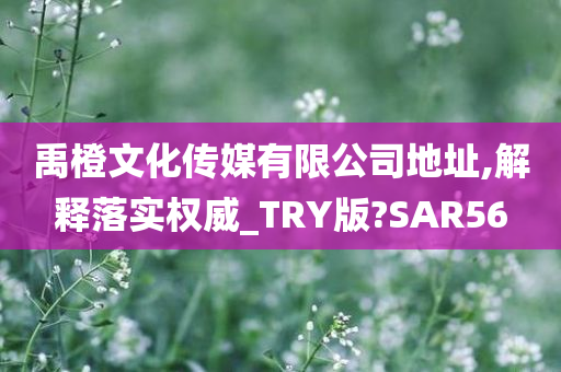 禹橙文化传媒有限公司地址,解释落实权威_TRY版?SAR56