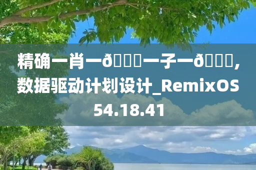 精确一肖一🐎一子一🀄,数据驱动计划设计_RemixOS54.18.41