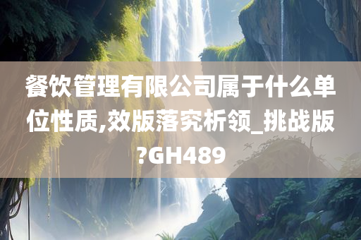 餐饮管理有限公司属于什么单位性质,效版落究析领_挑战版?GH489