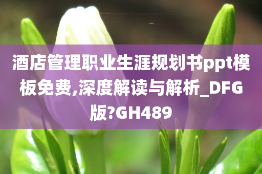 酒店管理职业生涯规划书ppt模板免费,深度解读与解析_DFG版?GH489