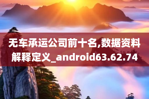 无车承运公司前十名,数据资料解释定义_android63.62.74