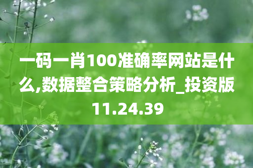 一码一肖100准确率网站是什么,数据整合策略分析_投资版11.24.39