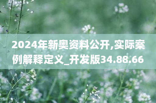 2024年新奥资料公开,实际案例解释定义_开发版34.88.66