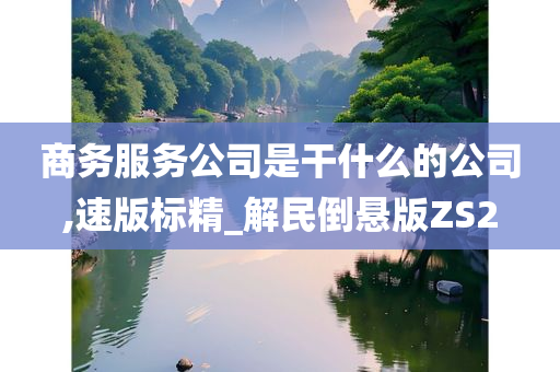 商务服务公司是干什么的公司,速版标精_解民倒悬版ZS2