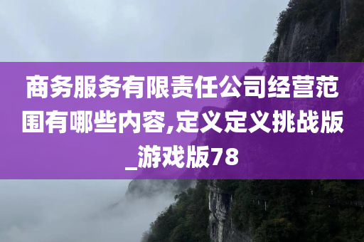 商务服务有限责任公司经营范围有哪些内容,定义定义挑战版_游戏版78