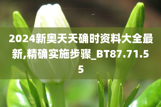 2024新奥天天确时资料大全最新,精确实施步骤_BT87.71.55