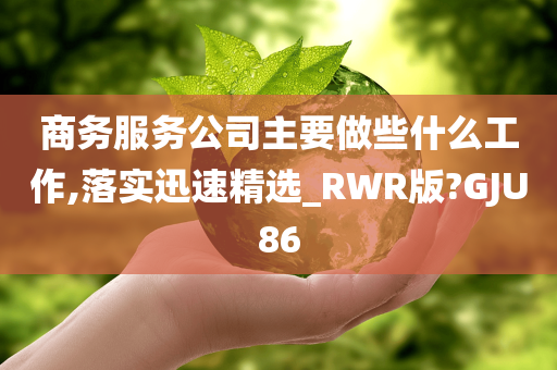 商务服务公司主要做些什么工作,落实迅速精选_RWR版?GJU86