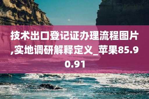 技术出口登记证办理流程图片,实地调研解释定义_苹果85.90.91