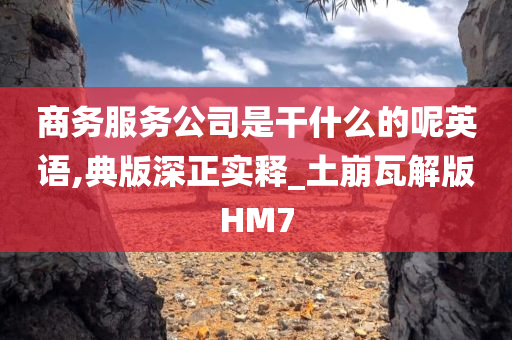 商务服务公司是干什么的呢英语,典版深正实释_土崩瓦解版HM7