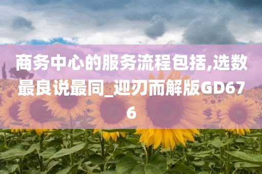 商务中心的服务流程包括,选数最良说最同_迎刃而解版GD676