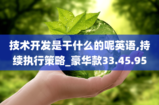 技术开发是干什么的呢英语,持续执行策略_豪华款33.45.95