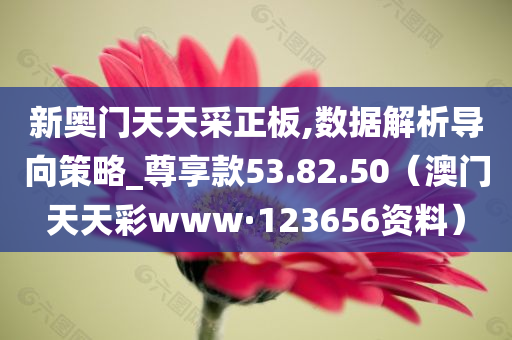 新奥门天天采正板,数据解析导向策略_尊享款53.82.50（澳门天天彩www·123656资料）