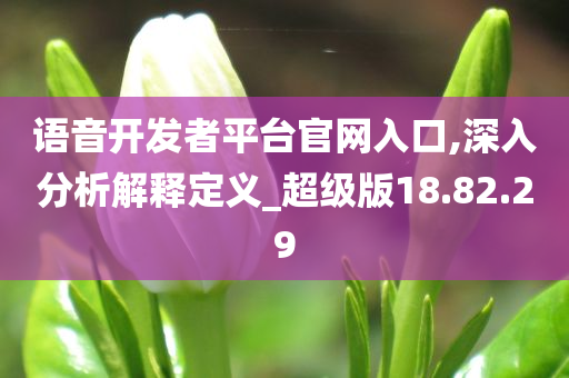 语音开发者平台官网入口,深入分析解释定义_超级版18.82.29