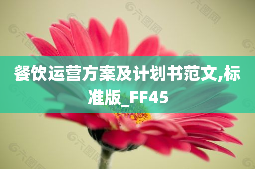 餐饮运营方案及计划书范文,标准版_FF45